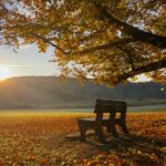 Mindful Breaks You Can Take in Five Minutes